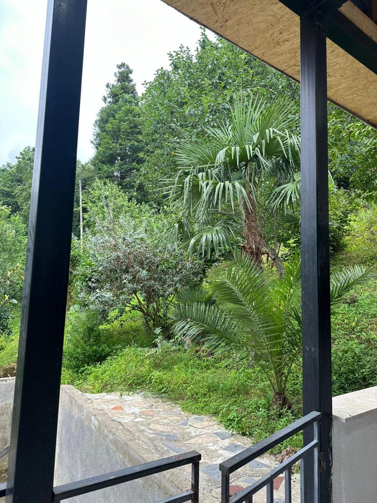 마킨자우리 Shamil House 게스트하우스 외부 사진